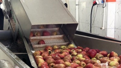 NİĞDE - İtalya'da gördüğü meyve ve sebze kurutma tesisini Niğde'de kurarak yurt dışına açıldı