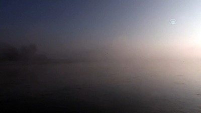 asiri hiz - EDİRNE - Sis nedeniyle görüş mesafesi 30 metreye kadar düştü Videosu