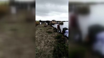bedevi - KAHİRE - Mısır’da iki balıkçı teknesi battı: 7 ölü Videosu