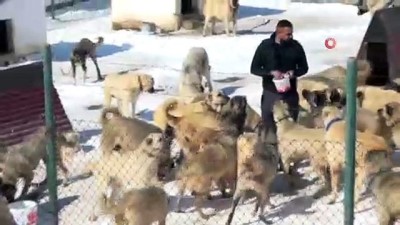  Türkiye’nin en yaşlıları arasında, yıllara meydan okuyor