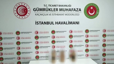 dedektor kopek - İSTANBUL  - İstanbul Havalimanı'nda içki şişelerine konulmuş 3 kilo 380 gram sıvı kokain ele geçirildi Videosu