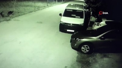 direksiyon -  Park halindeki otomobile böyle çarptı Videosu