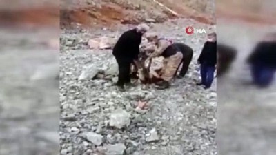  Yaralı dağ keçisinin yardımına jandarma koştu