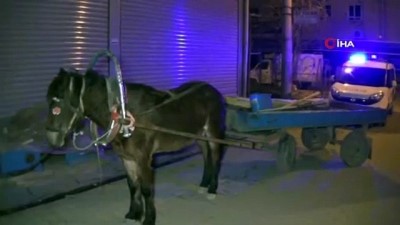  Polisin 'Dur' ihtarına uymayan 2 şahıs çaldıkları at arabasını bırakıp böyle kaçtılar