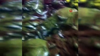  Balıkçılar limana 2 bin kasa balıkla döndüler