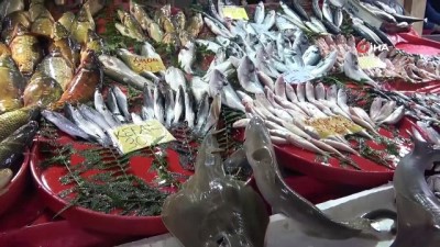 kanser hastaligi -  Elazığ'da balıkçının 'Norveç'ten' getirttiği köpek balığı dikkat çekti Videosu