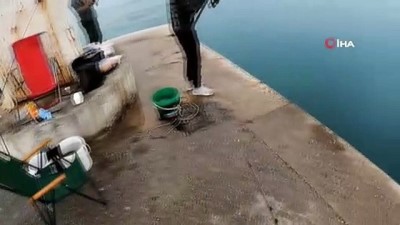 sosyal paylasim sitesi -  Antalya’da lise öğrencisinin oltasına boyu kadar balık takıldı Videosu