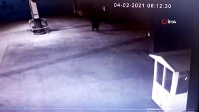  Mersin’de köpek hırsızlığı kameraya yansıdı