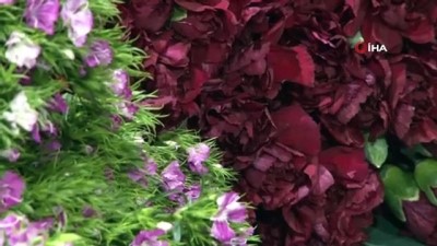 fiyat artisi -  Antalya’nın 2021 yılı çiçek ihracatı hedefi 60 milyon dolar Videosu