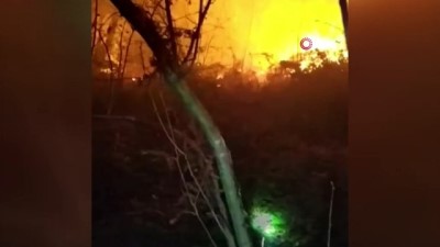 ormana -  Akçakoca’da orman yangını Videosu