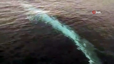 ogretim uyesi -  Akdeniz'de 15 metre uzunluğunda 'Oluklu Balina' görüntülendi Videosu