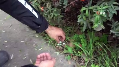ingilizce -  Nefes kesen kovalamacada polis yoldan tek tek uyuşturucu topladı Videosu