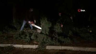  Şiddetli fırtına Manisa'da 15 metrelik ağacı devirdi