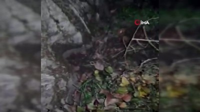 jandarma -  Bursa'da hırsızlık şüphelisi jandarma ekipleri tarafından yakalandı Videosu