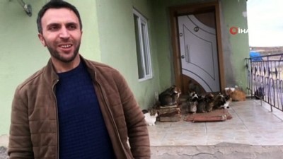 cami imami -  Konya'da yaklaşık 30 kedi besleyen imam: 'Biz onlara baktıkça huzur bulduk' Videosu
