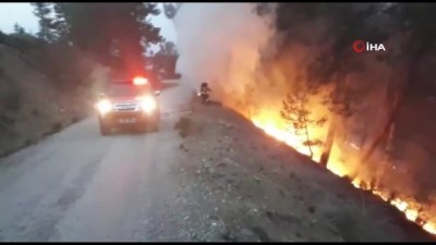  Muğla’da yılın ilk orman yangını