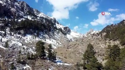 dogal urun -  90 milyon yıllık fosillerin bulunduğu Alara-Geyik Dağı'nın milli park olması için başvuru yapıldı Videosu