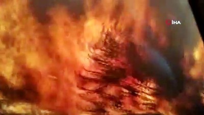  - Arjantin’de orman yangınları günlerdir devam ediyor