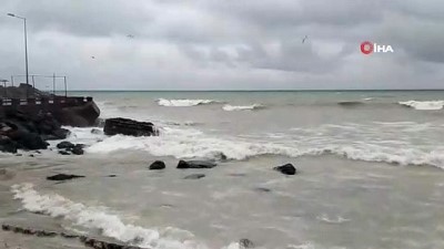 gard -  Karadeniz’de dev dalgalar sahilleri dövüyor Videosu
