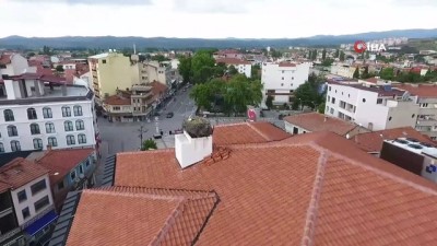 naylon poset -  Başkan ve profesör leylekler için belediye binasının çatısına çıktı Videosu