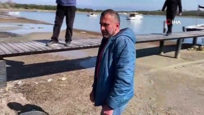 yunus baligi -  Kuraklık Ayvalık'ı vurdu, dev yunus balığının ölüsü bulundu Videosu