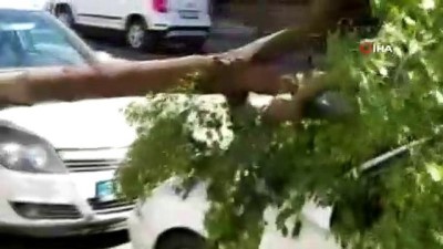 siddetli ruzgar -  Şanlıurfa’da rüzgar ağaçları devirdi çatıları uçurdu Videosu