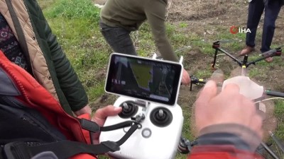  Üniversitenin buğdayları drone ile ilaçlandı