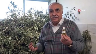 agri kesici -  Endemik bitkiler eterik yağ ihracatını arttıracak Videosu