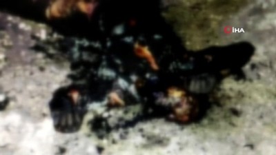  Şanlıurfa'da vahşet: Yol kenarında yanmış kadın cesedi bulundu