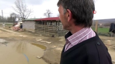  Yabani kuş ve ördekler için suni göl oluşturdu