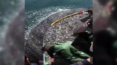 Balıkçılardan örnek hareket: Binlerce kefal yavrusunu denize bıraktılar