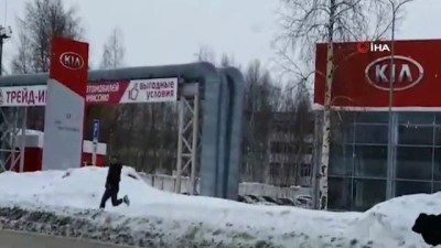 hayvanat bahcesi -  - Rusya'da şehre inen ayı paniğe neden oldu Videosu