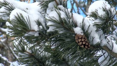 kar yagisi - KARS - Kar yağışı etkili oldu Videosu