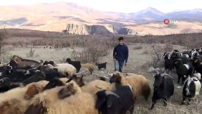 guzergah -  Siirt’te göçerlerin zorlu yaşamı Videosu