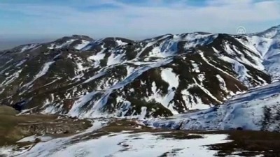 karahisar - AFYONKARAHİSAR - Emir Dağları'ndaki yılkı atları drone ile görüntülendi Videosu