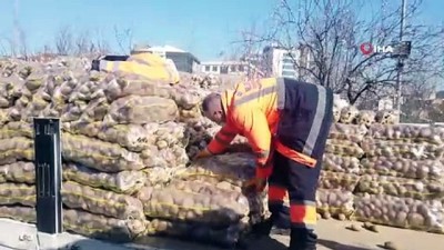 market -  - Bağcılar'da 10 bin aileye 200 ton patates yardımı Videosu