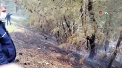 orman yangini -  Fethiye’de orman yangını Videosu