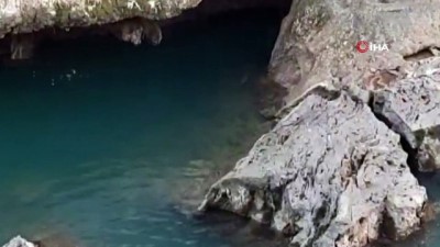 kayali -  Koruma altında bulunan samurların yüzme keyfi Videosu