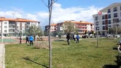 soma -  Balıkesir’de zeytin ağaçlarında çiçeklenme erken başladı Videosu