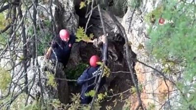 kayali -  - Falezlerden bir  kişinin düştüğü ihbarı ekipleri harekete geçirdi Videosu