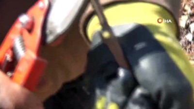 gunesli hava -  Kahramanmaraş’ta çiftçilerin bağ budama telaşı başladı Videosu