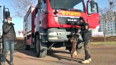 dedektor kopek - Diyarbakır'da nevruz etkinliğinin yapılacağı alanda polis ekipleri denetim yaptı Videosu