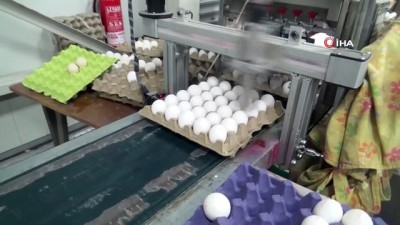 yumurta -  Bu ilçede 6 milyon tavuk, 5 bin insan yaşıyor Videosu