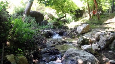 yerel yonetim -  - EKODOST'DAN 'su' uyarısı Videosu