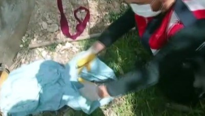 cakal - ŞANLIURFA - Sulama borusu içerisinde uzun namlulu 4 silah ele geçirildi Videosu
