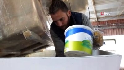 leman -  Balıkesir’de pandemi tekne satışlarını artırdı Videosu