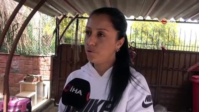 emniyet mudurlugu -  Kediyi ezdi, hiçbir şey olmamış gibi yoluna devam etti Videosu