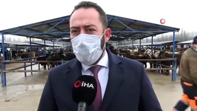 cicek hastaligi -  Simav’da canlı hayvan pazarı tekrar açıldı Videosu