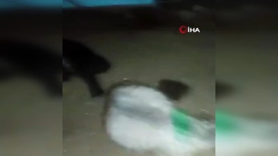 kimya -  Mersin'de zehirlenen 14 koyun telef oldu Videosu