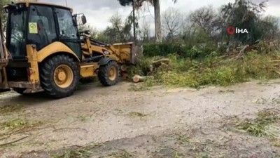  Fırtınada devrilen ağaçlar araçlara zarar verdi